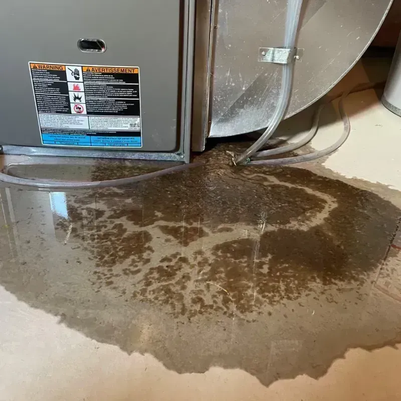 Appliance Leak Cleanup in Morristown, TN